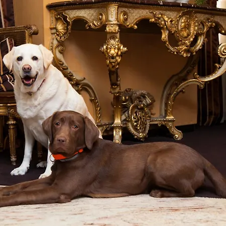 Western Monopole Metropole Ξενοδοχείο