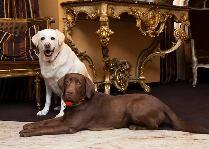 Western Monopole Metropole מלון