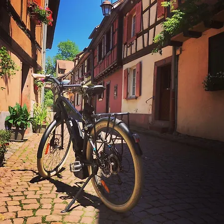 Western Monopole Metropole Отель Страсбург